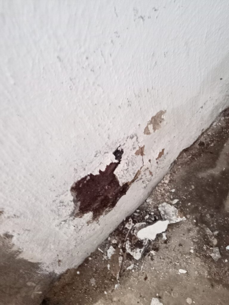 IMG_20240118_095429_156