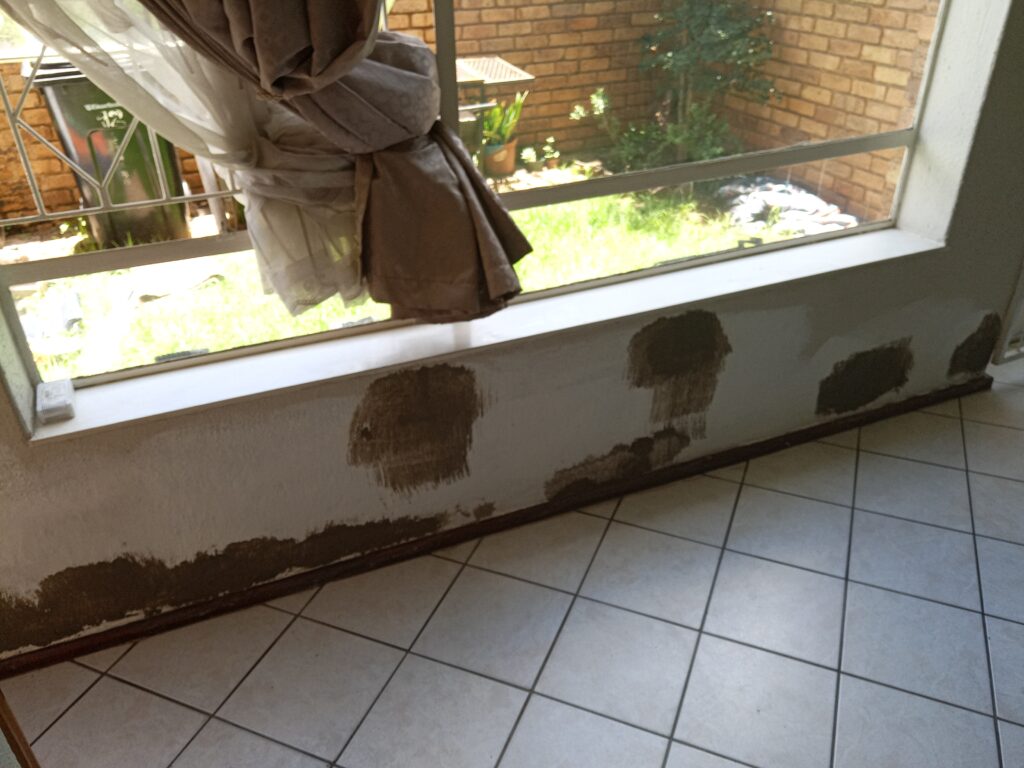 IMG_20240119_120507_967