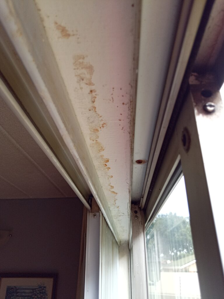 IMG_20240229_095017_490